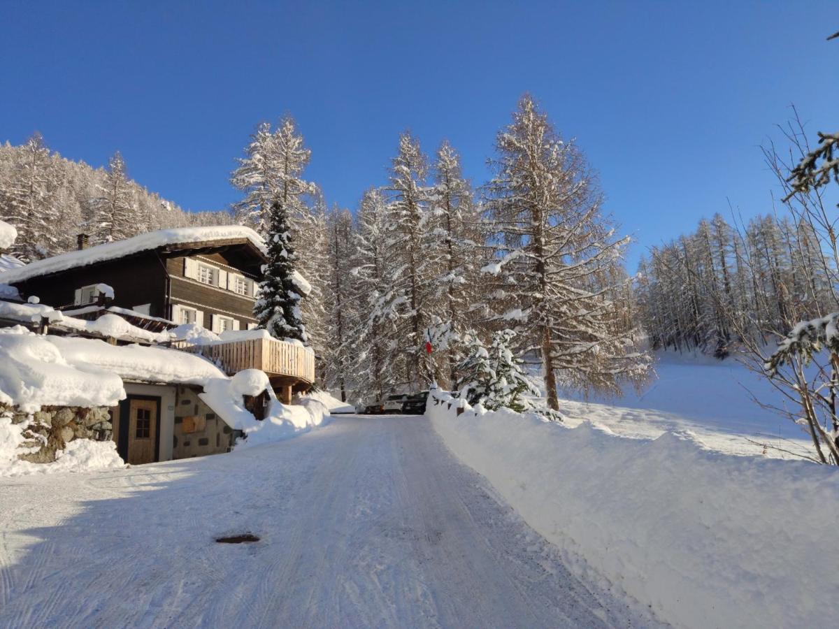 Cirmolo * Livigno