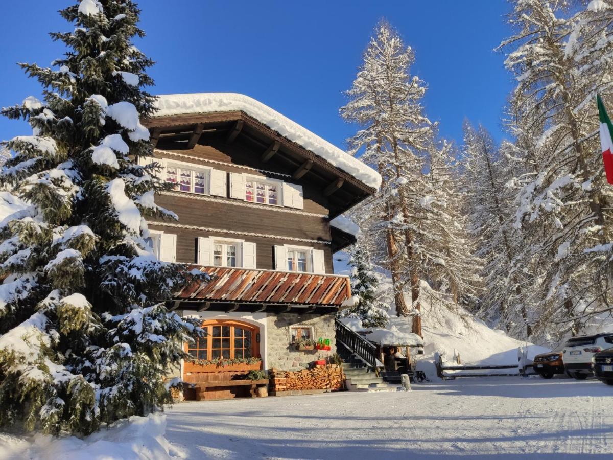 Apartment Cirmolo *