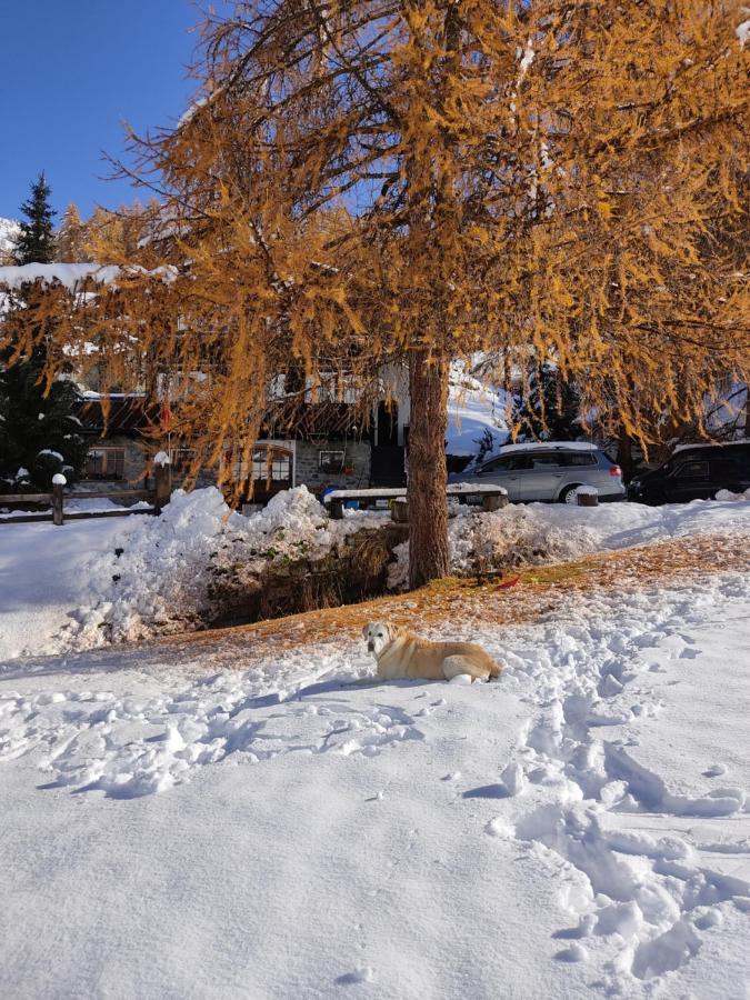 Appartamento Cirmolo Livigno