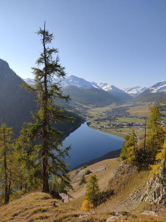 Cirmolo Appartamento Livigno